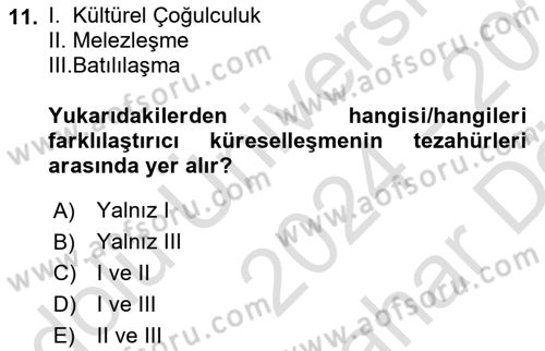 Uluslararası Politik Ekonomi Dersi 2024 - 2025 Yılı (Vize) Ara Sınav Soruları 11. Soru