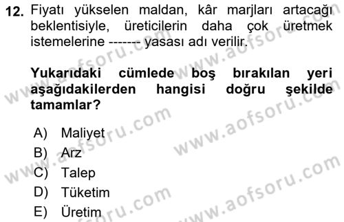 Uluslararası Politik Ekonomi Dersi 2024 - 2025 Yılı (Vize) Ara Sınav Soruları 12. Soru