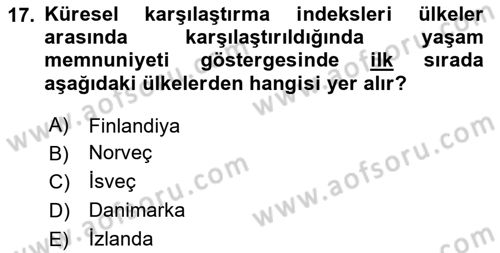 Uluslararası Politik Ekonomi Dersi 2024 - 2025 Yılı (Vize) Ara Sınav Soruları 17. Soru