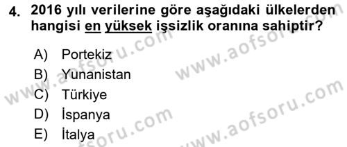 Uluslararası Politik Ekonomi Dersi 2024 - 2025 Yılı (Vize) Ara Sınav Soruları 4. Soru