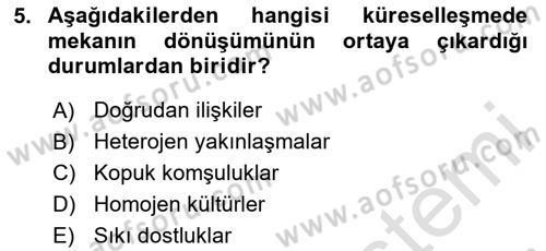 Uluslararası Politik Ekonomi Dersi 2024 - 2025 Yılı (Vize) Ara Sınav Soruları 5. Soru