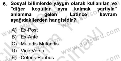 Uluslararası Politik Ekonomi Dersi 2024 - 2025 Yılı (Vize) Ara Sınav Soruları 6. Soru