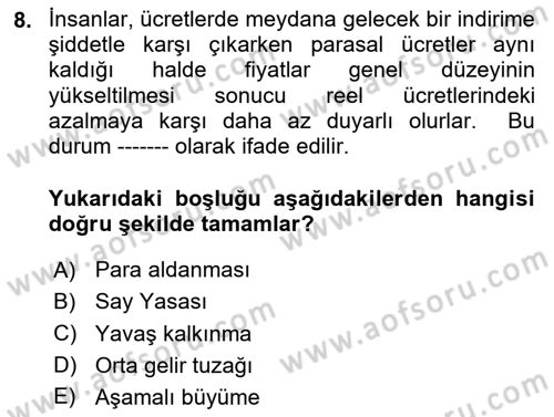 Uluslararası Politik Ekonomi Dersi 2024 - 2025 Yılı (Vize) Ara Sınav Soruları 8. Soru