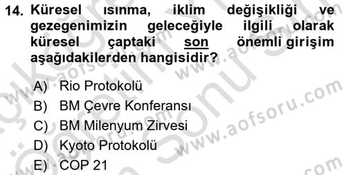 Uluslararası Politik Ekonomi Dersi 2024 - 2025 Yılı (Final) Dönem Sonu Sınav Soruları 14. Soru
