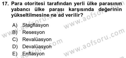 Uluslararası Politik Ekonomi Dersi 2024 - 2025 Yılı (Final) Dönem Sonu Sınav Soruları 17. Soru