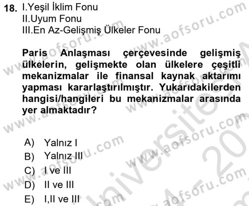 Uluslararası Politik Ekonomi Dersi 2024 - 2025 Yılı (Final) Dönem Sonu Sınav Soruları 18. Soru