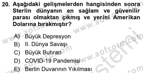 Uluslararası Politik Ekonomi Dersi 2024 - 2025 Yılı (Final) Dönem Sonu Sınav Soruları 20. Soru