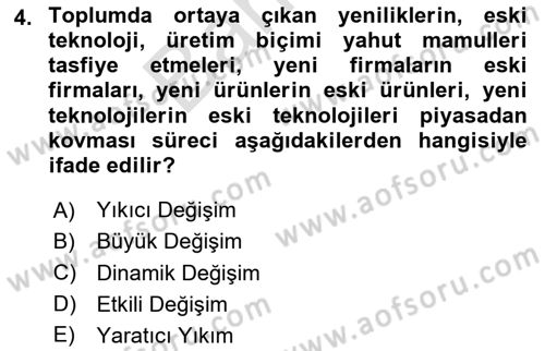Uluslararası Politik Ekonomi Dersi 2024 - 2025 Yılı (Final) Dönem Sonu Sınav Soruları 4. Soru