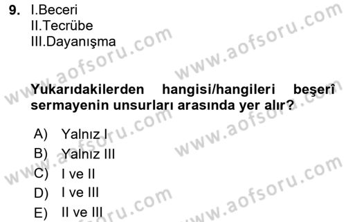 Uluslararası Politik Ekonomi Dersi 2024 - 2025 Yılı (Final) Dönem Sonu Sınav Soruları 9. Soru