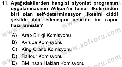 Amerikan Dış Politikası Dersi 2017 - 2018 Yılı (Final) Dönem Sonu Sınav Soruları 11. Soru