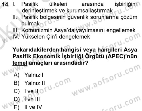 Amerikan Dış Politikası Dersi 2021 - 2022 Yılı Yaz Okulu Sınav Soruları 14. Soru