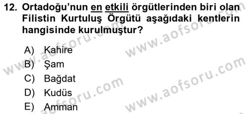 Türk Dış Politikası 1 Dersi 2023 - 2024 Yılı Yaz Okulu Sınavı 12. Soru