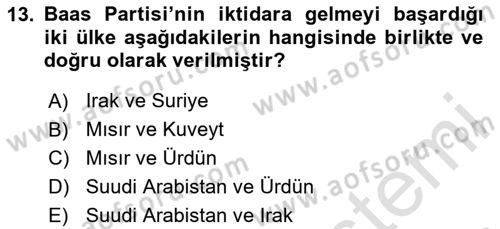 Türk Dış Politikası 1 Dersi 2023 - 2024 Yılı Yaz Okulu Sınav Soruları 13. Soru