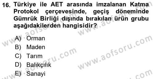 Türk Dış Politikası 1 Dersi 2023 - 2024 Yılı Yaz Okulu Sınav Soruları 16. Soru