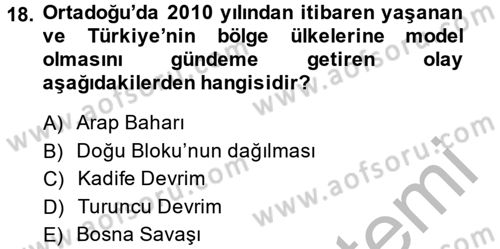 Türk Dış Politikası 2 Dersi 2013 - 2014 Yılı (Final) Dönem Sonu Sınavı 18. Soru