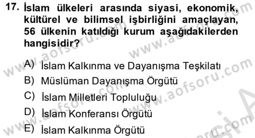 Türk Dış Politikası 2 Dersi 2013 - 2014 Yılı Tek Ders Sınavı 17. Soru