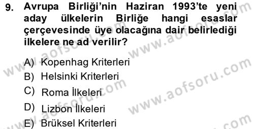 Türk Dış Politikası 2 Dersi 2013 - 2014 Yılı Tek Ders Sınav Soruları 9. Soru