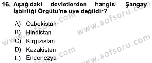 Türk Dış Politikası 2 Dersi 2022 - 2023 Yılı Yaz Okulu Sınav Soruları 16. Soru