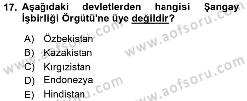 Türk Dış Politikası 2 Dersi 2023 - 2024 Yılı Yaz Okulu Sınav Soruları 17. Soru
