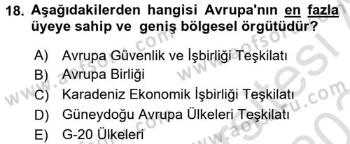 Türk Dış Politikası 2 Dersi 2023 - 2024 Yılı Yaz Okulu Sınav Soruları 18. Soru