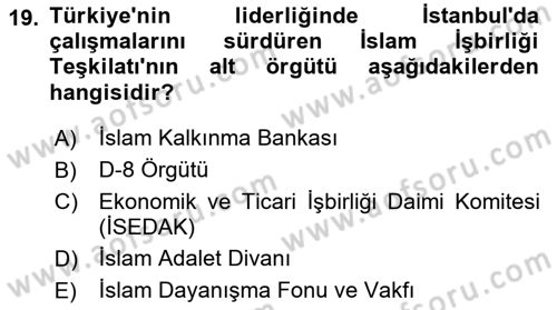 Türk Dış Politikası 2 Dersi 2023 - 2024 Yılı Yaz Okulu Sınav Soruları 19. Soru