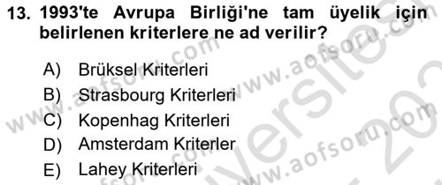 Türk Dış Politikası 2 Dersi 2024 - 2025 Yılı (Vize) Ara Sınav Soruları 13. Soru