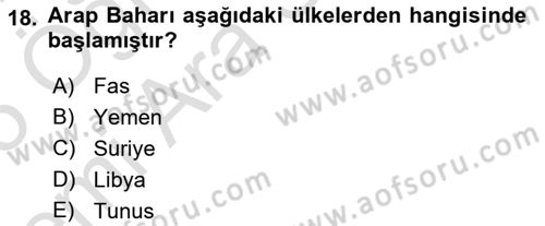 Türk Dış Politikası 2 Dersi 2024 - 2025 Yılı (Vize) Ara Sınav Soruları 18. Soru