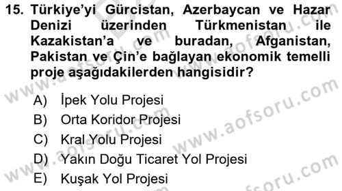 Türk Dış Politikası 2 Dersi 2024 - 2025 Yılı (Final) Dönem Sonu Sınav Soruları 15. Soru