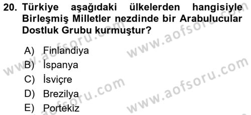 Türk Dış Politikası 2 Dersi 2024 - 2025 Yılı (Final) Dönem Sonu Sınav Soruları 20. Soru