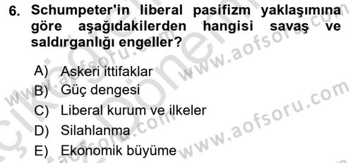 Uluslararası İlişkiler Kuramları 1 Dersi 2024 - 2025 Yılı (Vize) Ara Sınavı 6. Soru