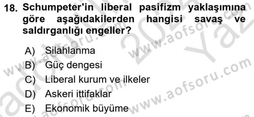 Uluslararası İlişkiler Kuramları 1 Dersi 2024 - 2025 Yılı Yaz Okulu Sınav Soruları 18. Soru