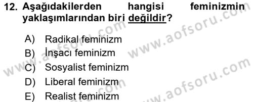 Uluslararası İlişkiler Kuramları 2 Dersi 2017 - 2018 Yılı 3 Ders Sınav Soruları 12. Soru