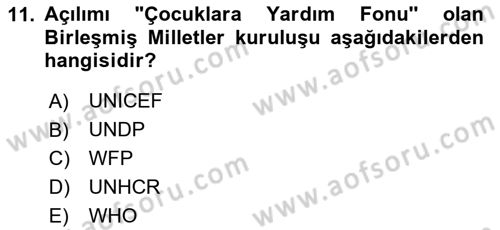 Diplomasi Tarihi Dersi 2023 - 2024 Yılı Yaz Okulu Sınav Soruları 11. Soru
