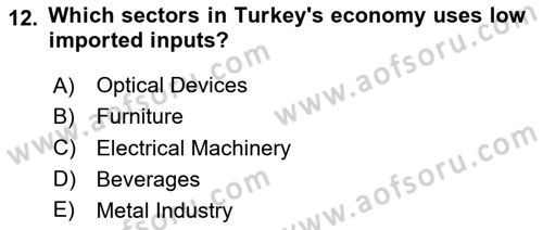 Turkish Economy Dersi 2020 - 2021 Yılı Yaz Okulu Sınav Soruları 12. Soru
