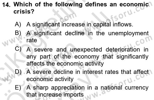 Turkish Economy Dersi 2020 - 2021 Yılı Yaz Okulu Sınav Soruları 14. Soru