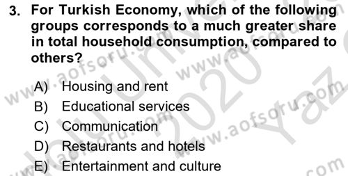 Turkish Economy Dersi 2020 - 2021 Yılı Yaz Okulu Sınav Soruları 3. Soru