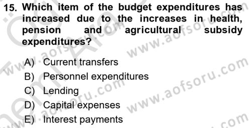 Turkish Economy Dersi 2021 - 2022 Yılı (Vize) Ara Sınav Soruları 15. Soru