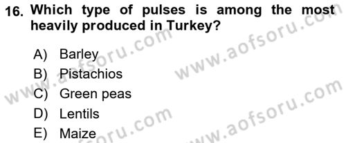 Turkish Economy Dersi 2021 - 2022 Yılı (Vize) Ara Sınav Soruları 16. Soru