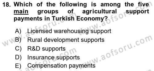 Turkish Economy Dersi 2021 - 2022 Yılı (Vize) Ara Sınav Soruları 18. Soru