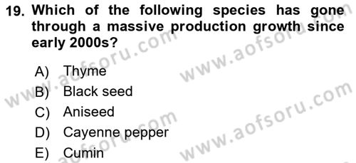 Turkish Economy Dersi 2021 - 2022 Yılı (Vize) Ara Sınav Soruları 19. Soru