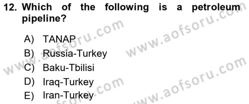 Turkish Economy Dersi 2021 - 2022 Yılı (Final) Dönem Sonu Sınav Soruları 12. Soru