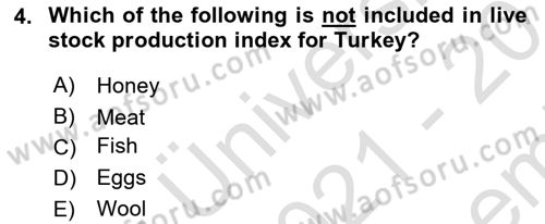 Turkish Economy Dersi 2021 - 2022 Yılı (Final) Dönem Sonu Sınav Soruları 4. Soru