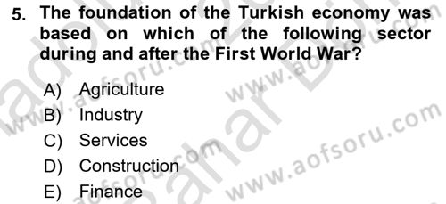 Turkish Economy Dersi 2021 - 2022 Yılı (Final) Dönem Sonu Sınav Soruları 5. Soru