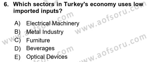 Turkish Economy Dersi 2021 - 2022 Yılı (Final) Dönem Sonu Sınav Soruları 6. Soru