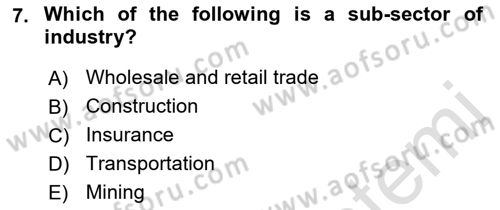 Turkish Economy Dersi 2021 - 2022 Yılı (Final) Dönem Sonu Sınav Soruları 7. Soru