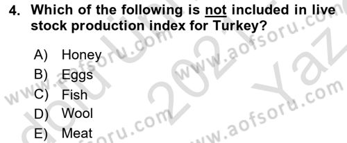 Turkish Economy Dersi 2021 - 2022 Yılı Yaz Okulu Sınav Soruları 4. Soru