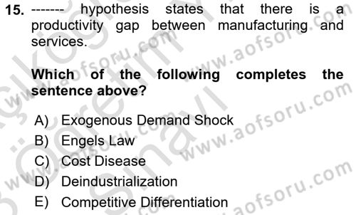 Turkish Economy Dersi 2022 - 2023 Yılı Yaz Okulu Sınav Soruları 15. Soru