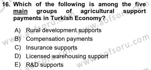 Turkish Economy Dersi 2022 - 2023 Yılı Yaz Okulu Sınav Soruları 16. Soru