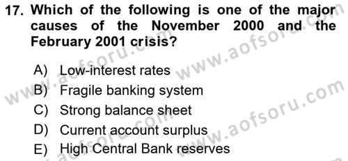 Turkish Economy Dersi 2022 - 2023 Yılı Yaz Okulu Sınav Soruları 17. Soru