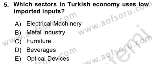 Turkish Economy Dersi 2022 - 2023 Yılı Yaz Okulu Sınav Soruları 5. Soru